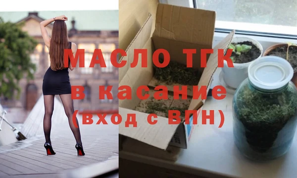 гидра Богородицк