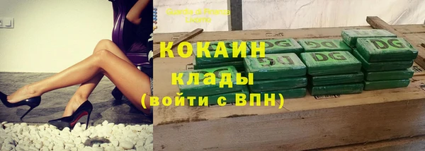 первитин Богданович