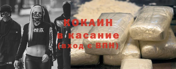 первитин Богданович