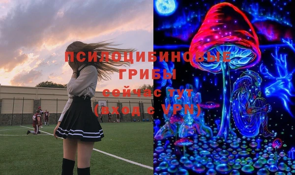 первитин Богданович
