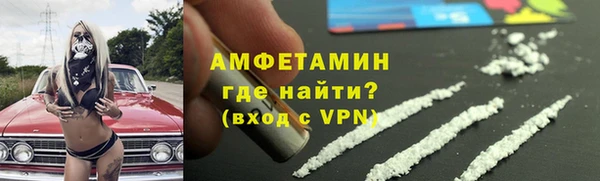 прущие грибы Белокуриха