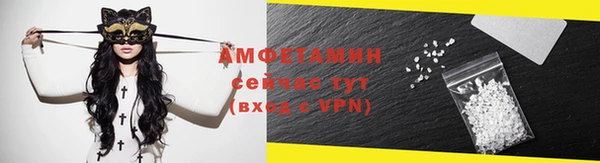 гидра Богородицк