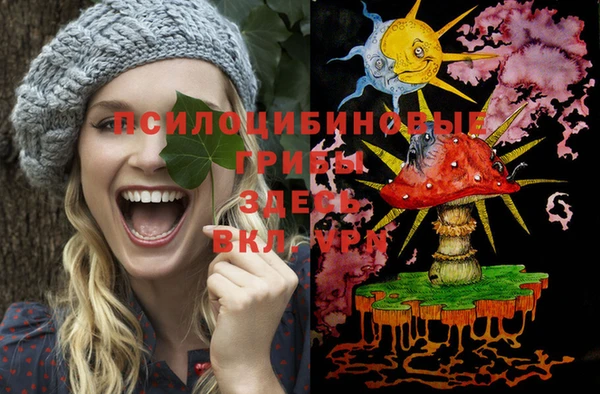 дмт Белоозёрский