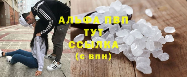 гидра Богородицк