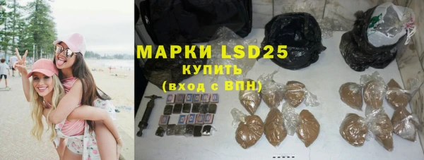 гидра Богородицк