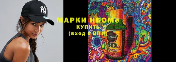 гидра Богородицк